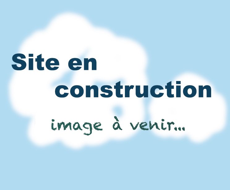 Fiches gratuites PDF
